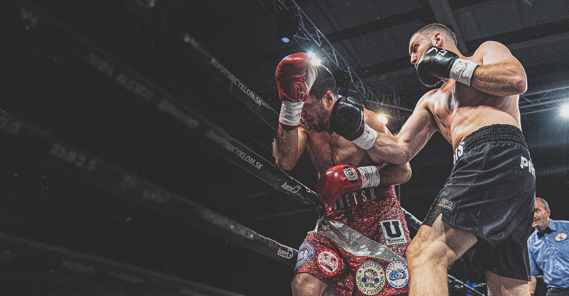 Gabriel Kocsis Baner
